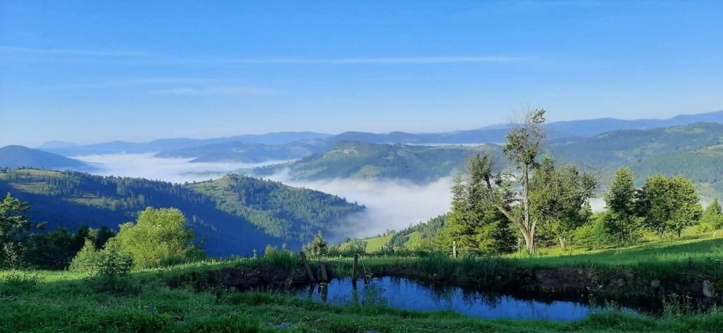 Blick auf ein Bergtal mit einem See im Vordergrund in der Unterkunft Cabana Virful Muntelui in Câmpeni