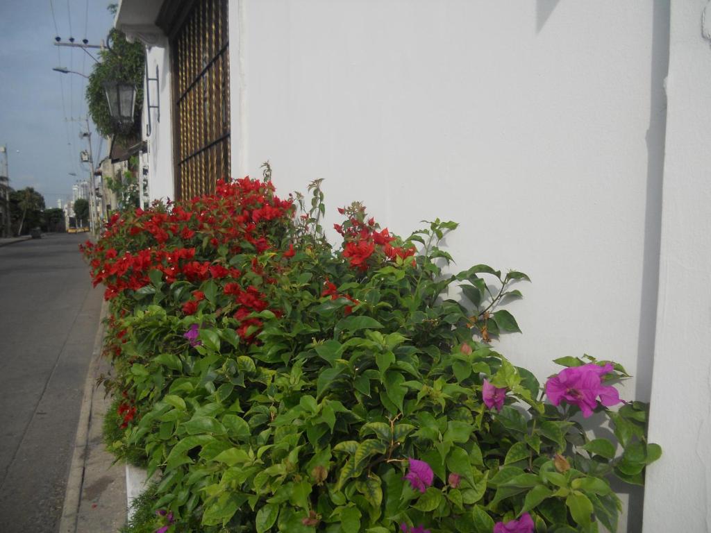 Zahrada ubytování Patio de Getsemani