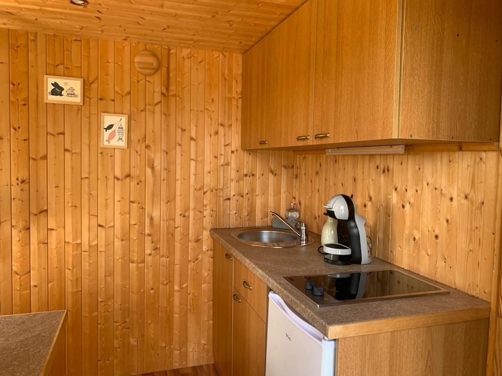 a kitchen with a sink and wooden walls at L'Écorce & le Tanin - 2 cabanes cosy pour 4, pêche in Roye