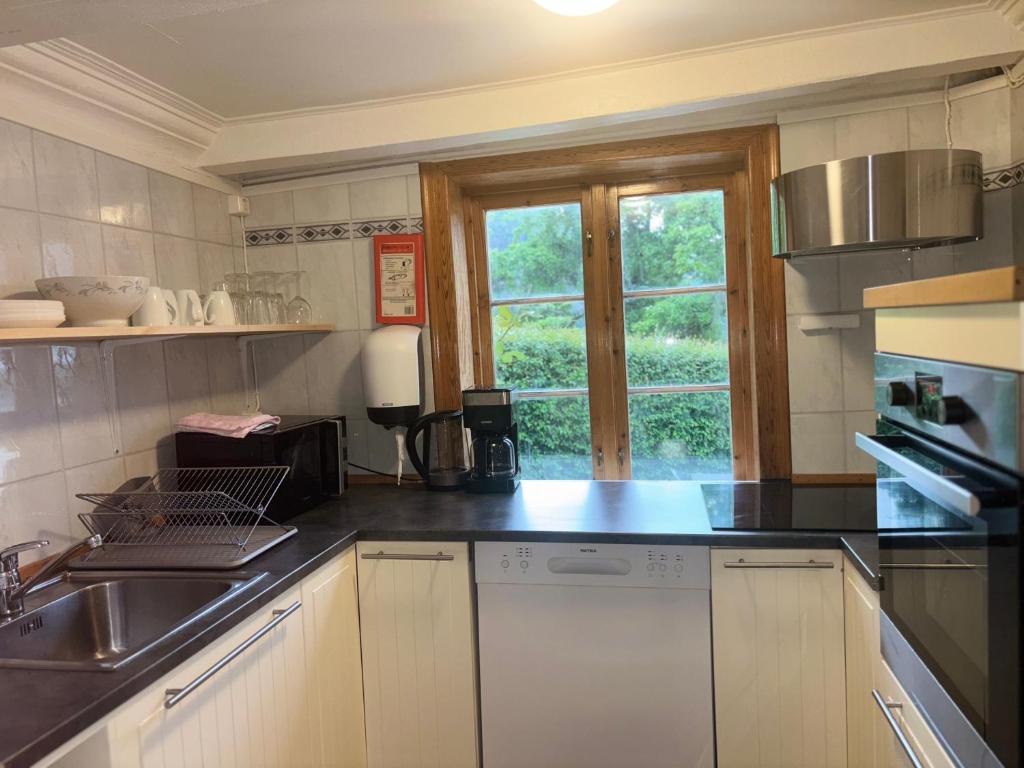 Kuchyň nebo kuchyňský kout v ubytování Winjum Apartments Aurland Stegastein