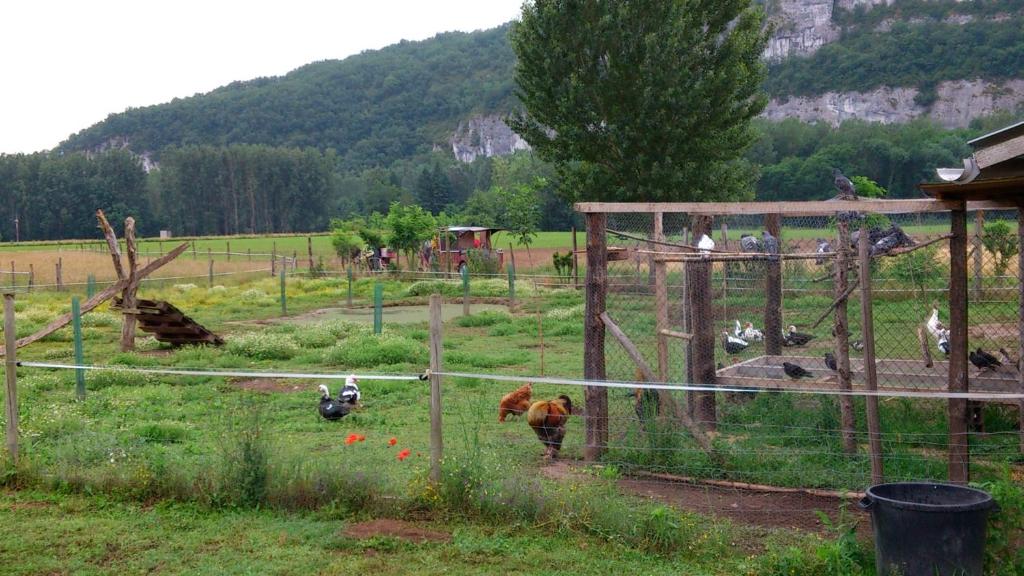 Zahrada ubytování Paysannerie des Versanes - Chambres et gîte