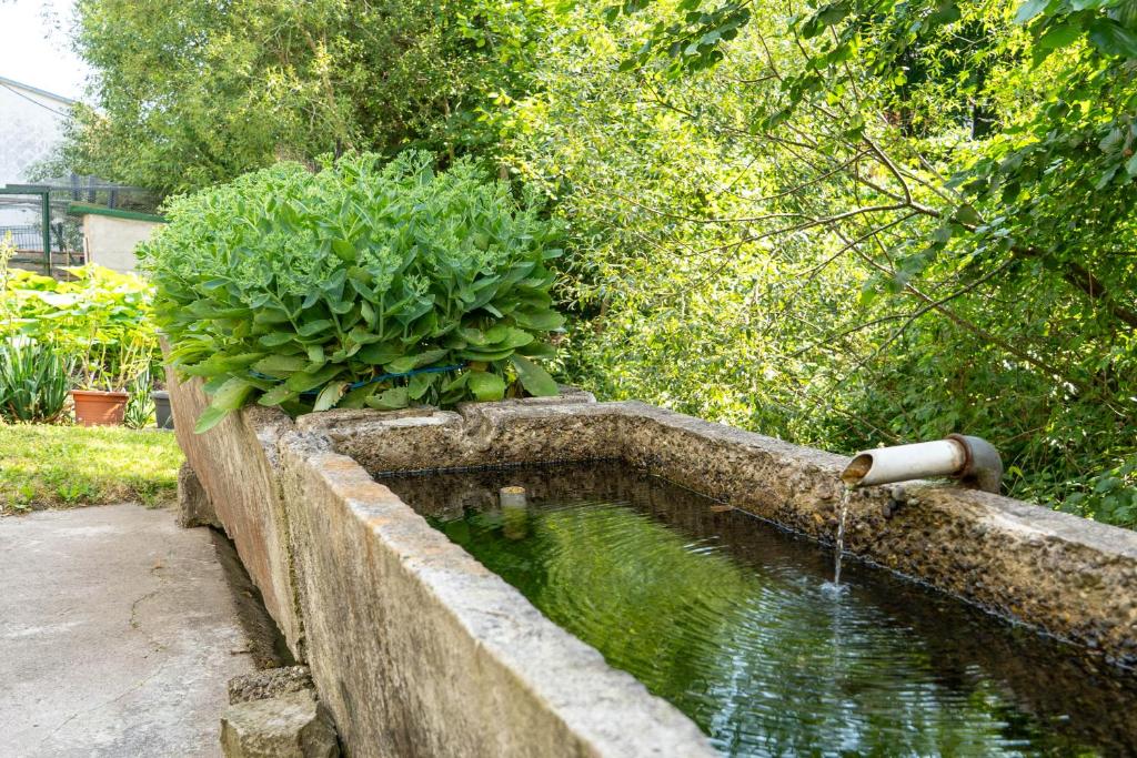Zahrada ubytování Chambres d'hôtes A la Fecht Nature et Bien-être