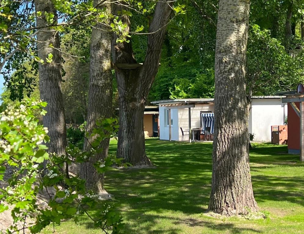 Taman di luar Fischerhäuschen