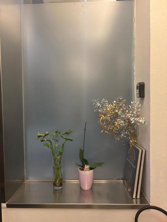 Hotel Antonelli - Resim 10