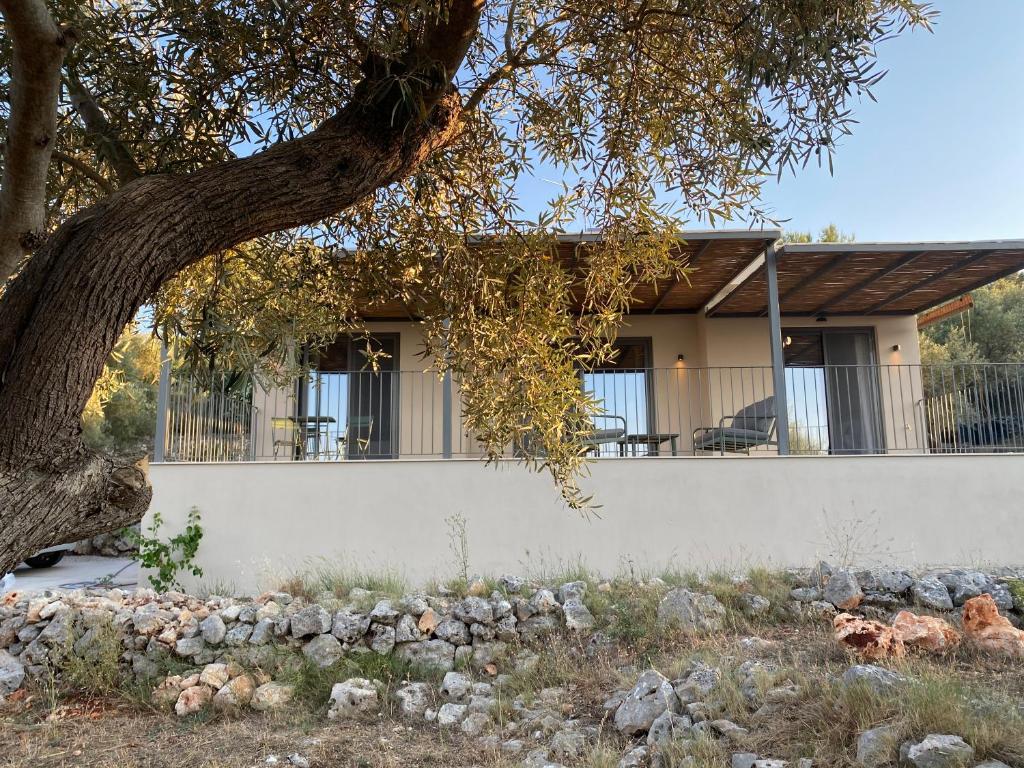 a house with a tree in front of it at Spitaki Among Olives in Tsoukaladhes