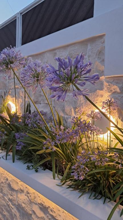 Villa Chrisanthi - 19