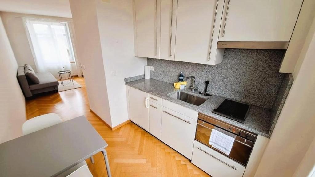 Amazing Apartments, heart of Zurich Old Town Glocken - Self Checkin - Resim 4