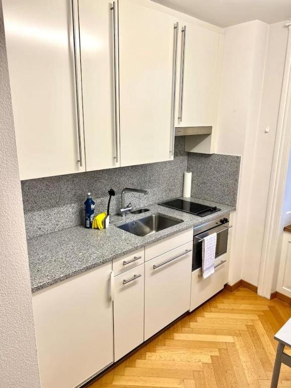 Amazing Apartments, heart of Zurich Old Town Glocken - Self Checkin - Resim 13