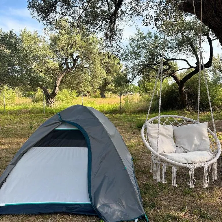 The 10 best campgrounds in Porto Palermo, Albania | Booking.com