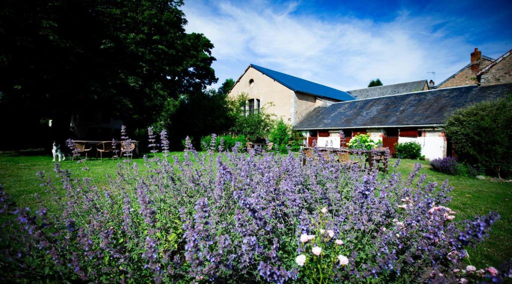 Zahrada ubytování Ambiance Morvan