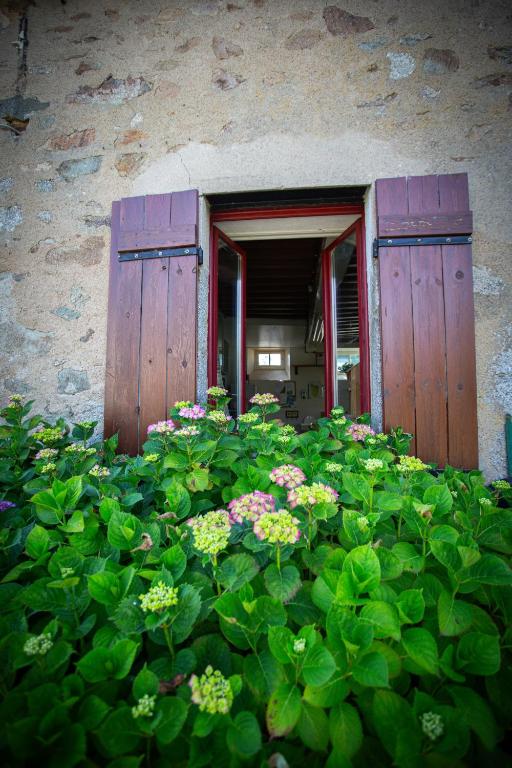 Zahrada ubytování Ambiance Morvan
