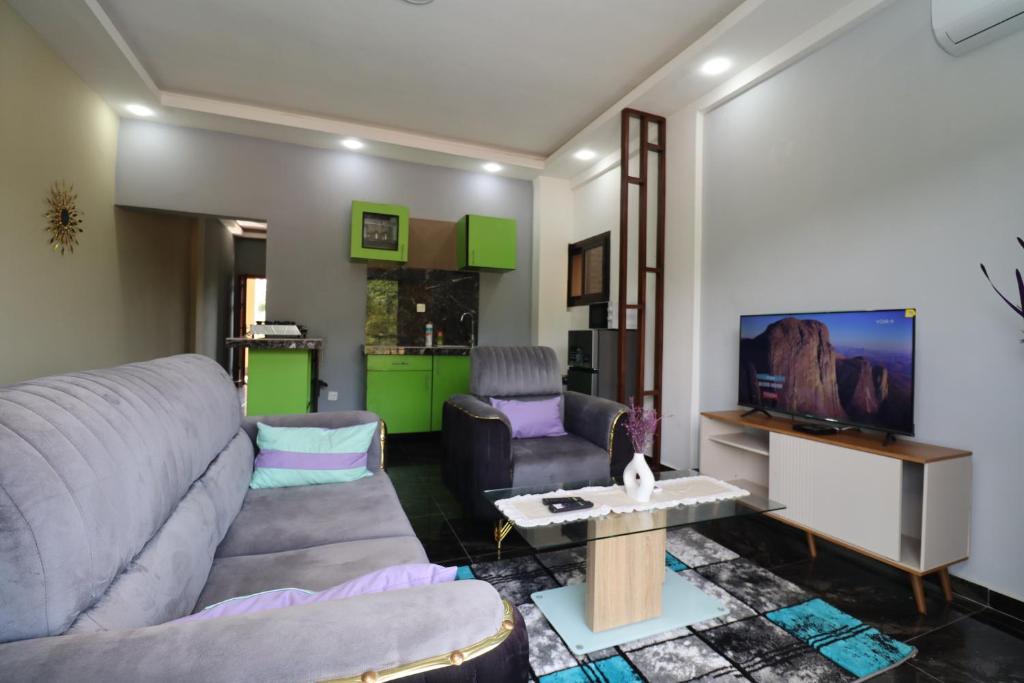 TV a/nebo společenská místnost v ubytování AfriqPnB RF2 Studio Mvog Atangana avec Piscine