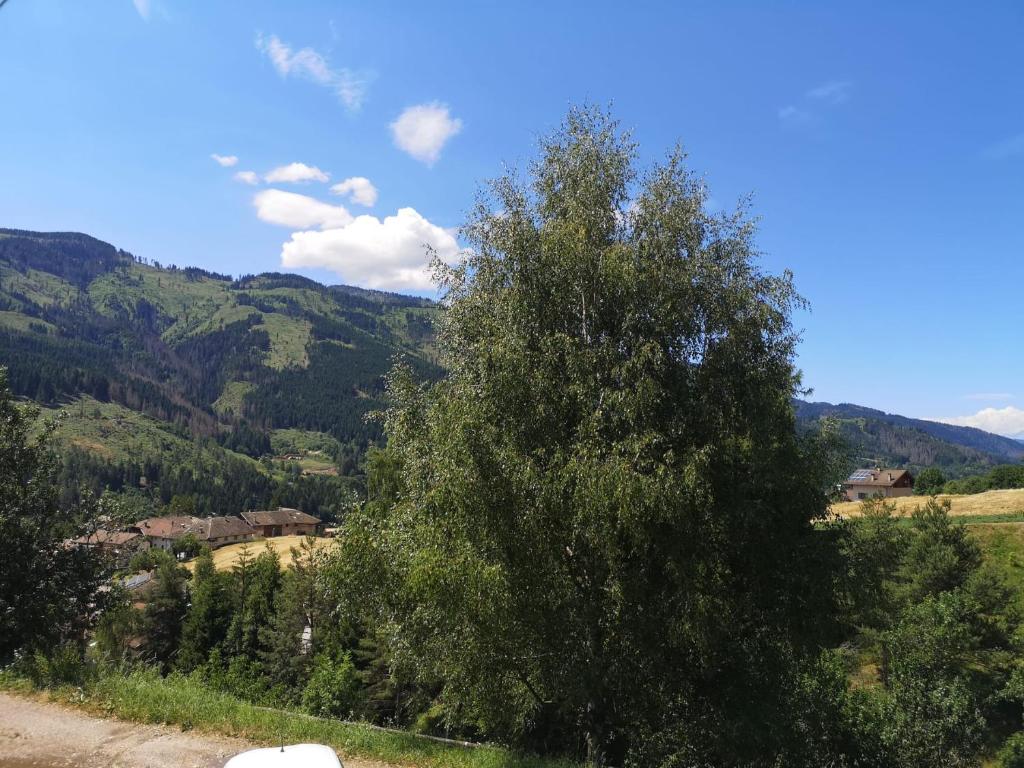 Příroda nedaleko apartmánu