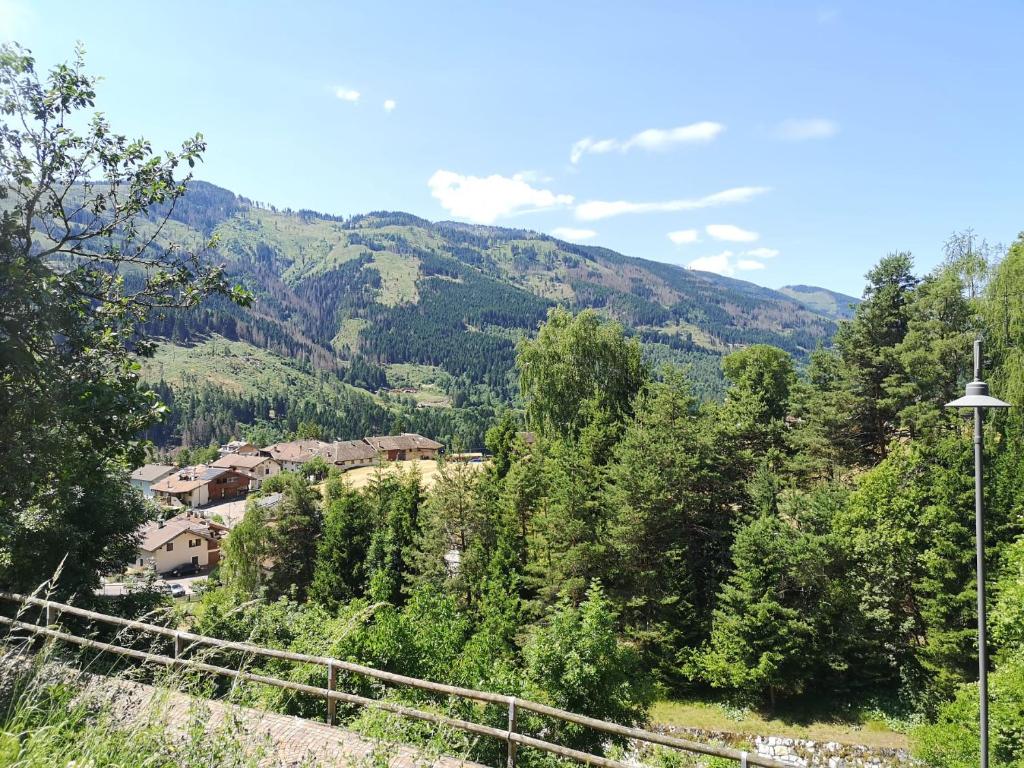 Příroda nedaleko apartmánu