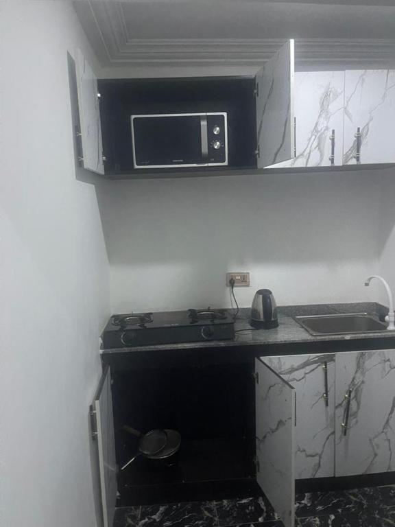 Kuchyň nebo kuchyňský kout v ubytování Demayafolo suite