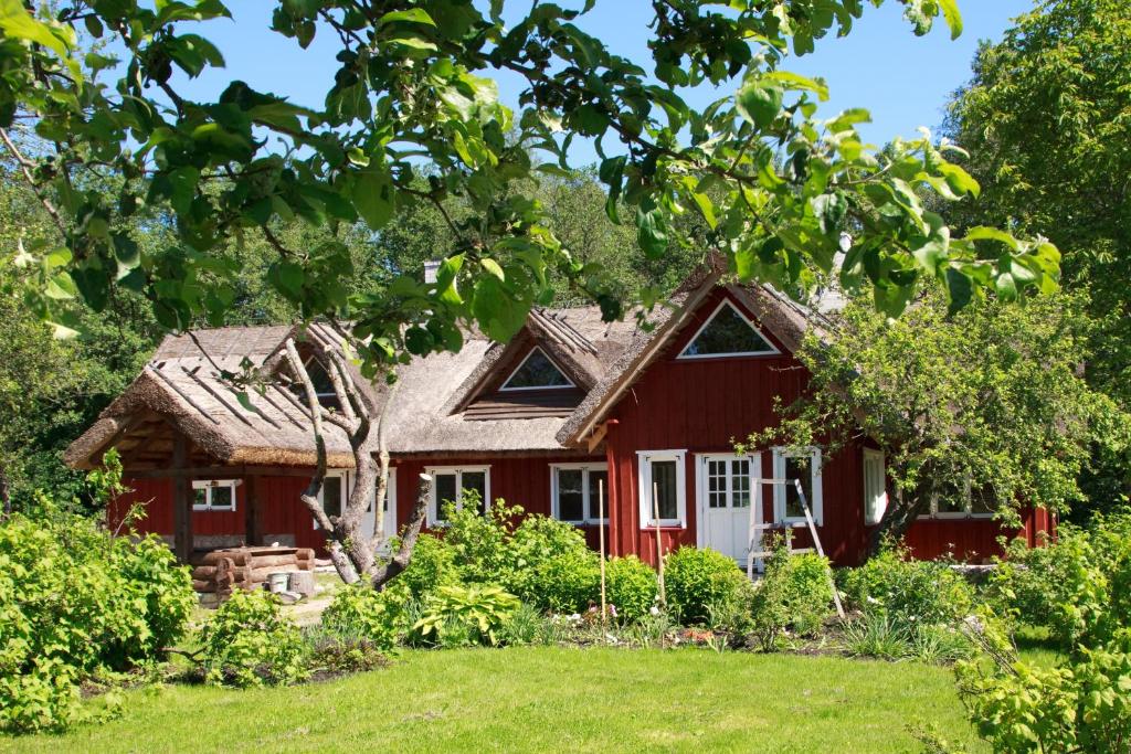 Zahrada ubytování Laugu Holiday Resort