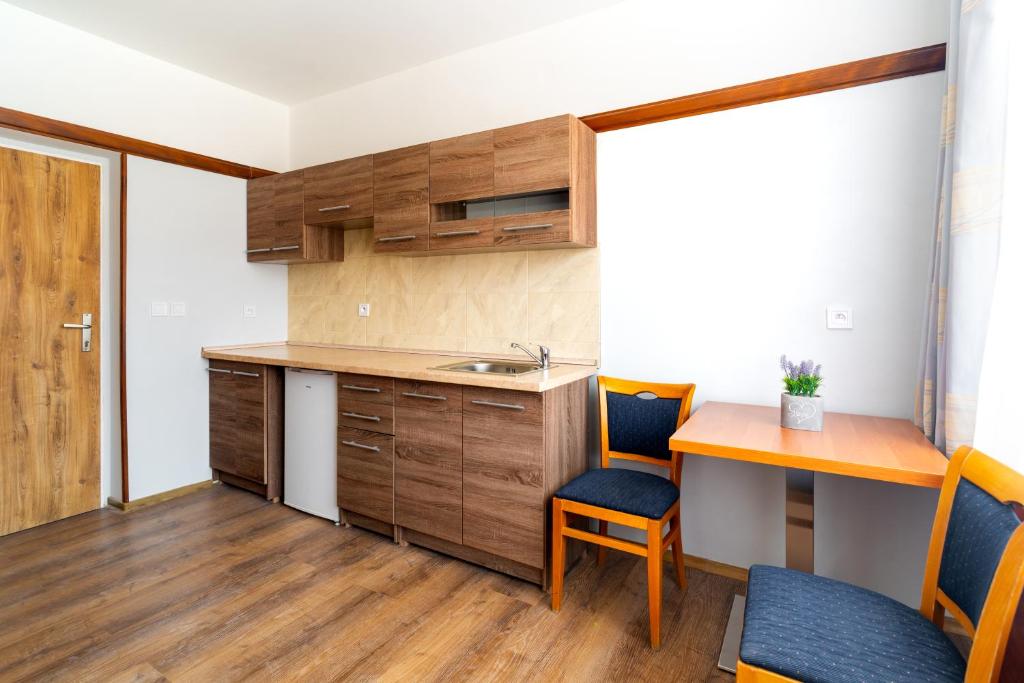 Kuchyň nebo kuchyňský kout v ubytování Hotel Macocha