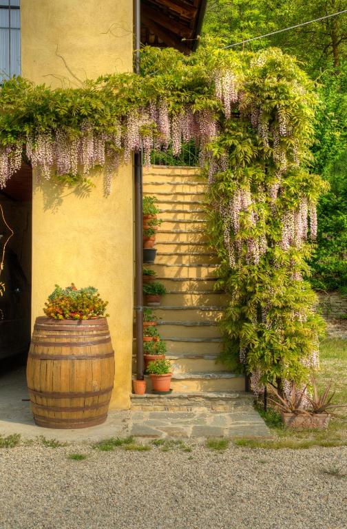 Zahrada ubytování B&B Il Sole Delle Rive