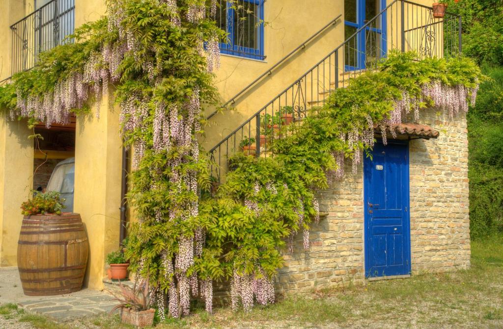 Zahrada ubytování B&B Il Sole Delle Rive