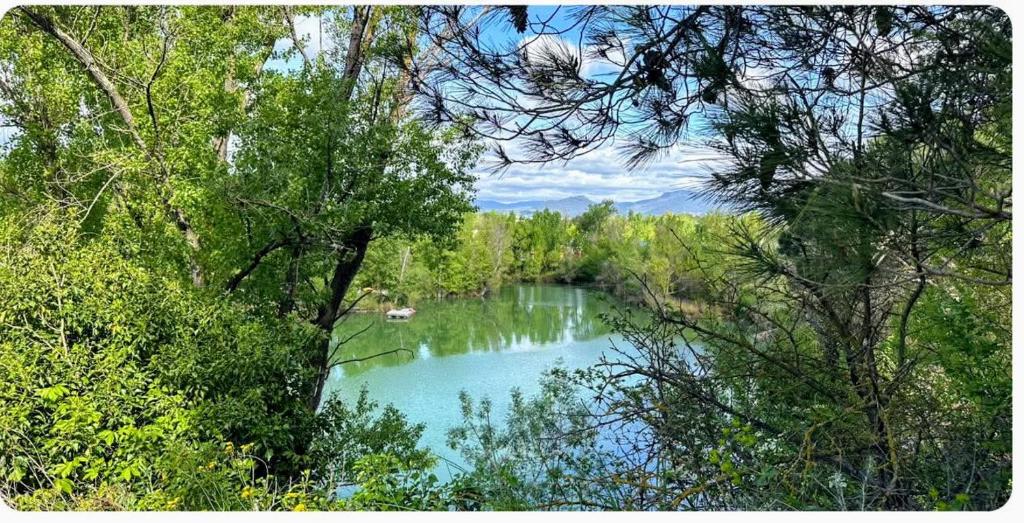ein Fluss mitten in einem Wald in der Unterkunft Villa les Tamaris in Gignac