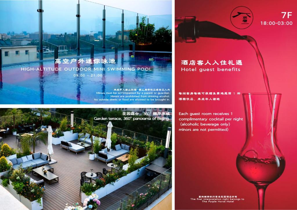 Fotografie z fotogalerie ubytování The Purple Horse Hotel 北京紫龙花园酒店 - Beijing Sky Garden Boutique Hotel & Rooftop Infinity Mini Pool & near Forbidden City & Wangfujing & Tiananmen & Nanluoguxiang & Lama Temple v Pekingu