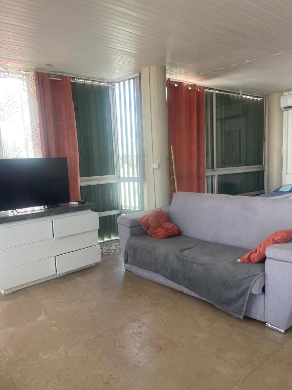 TV a/nebo společenská místnost v ubytování PENTHOUSE SEASIDE 10 MIN port, croisière et aéroport