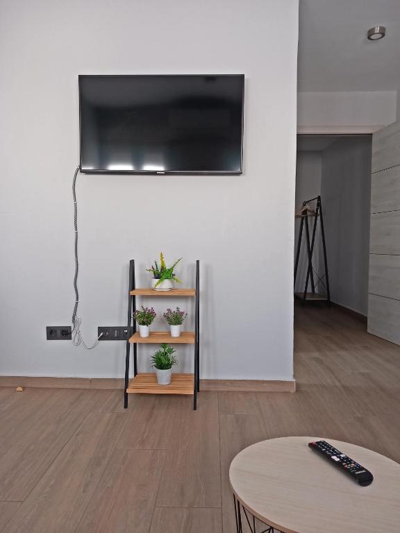 Televízia a/alebo spoločenská miestnosť v ubytovaní Apartamento De la Haya, junto al Teatro Romano