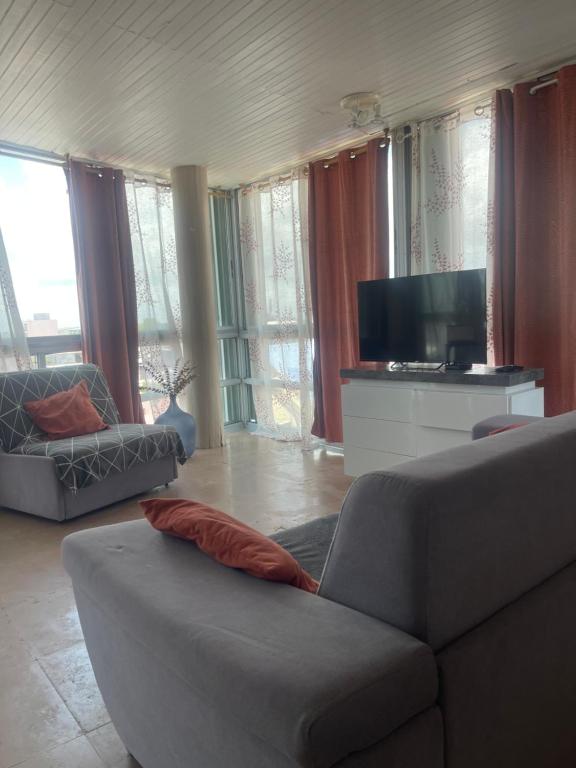 TV a/nebo společenská místnost v ubytování PENTHOUSE SEASIDE 10 MIN port, croisière et aéroport