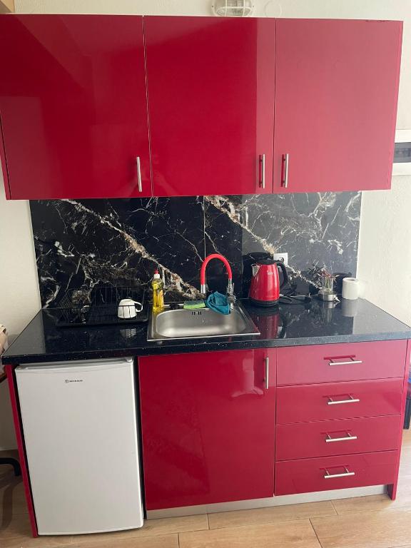a red kitchen with a sink and red cabinets at Cozy apartment in thessaloniki (2) in Thessaloniki