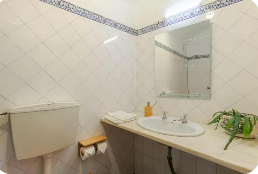 Qta Casa Seleiras - Guest House - 15