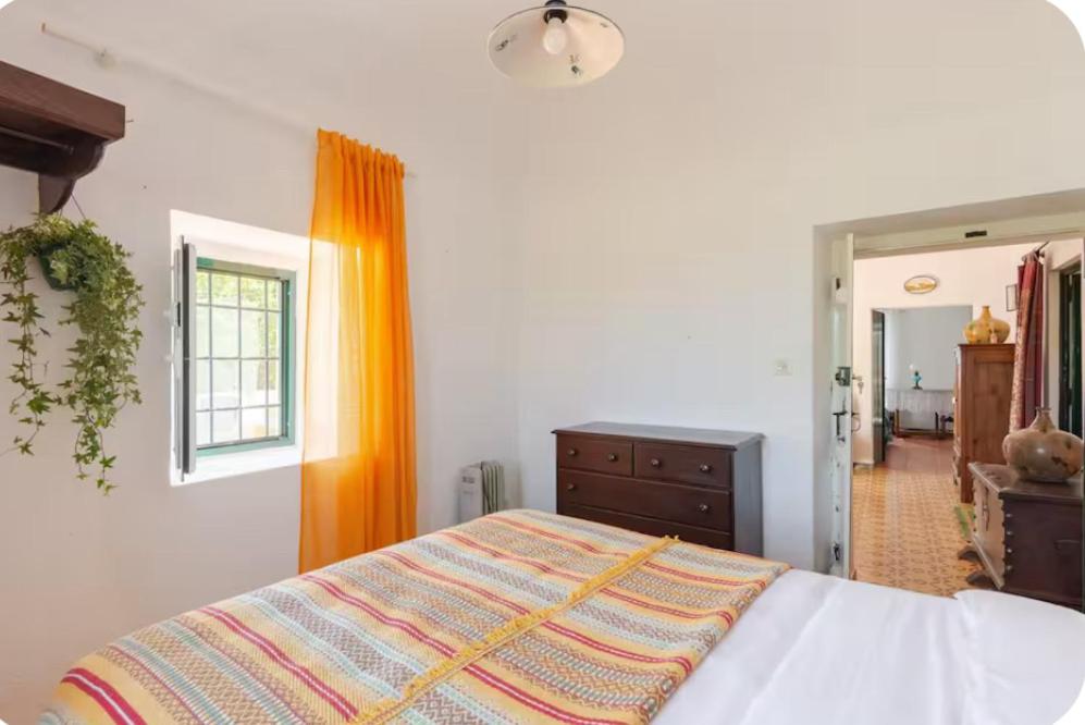 Qta Casa Seleiras - Guest House - 11