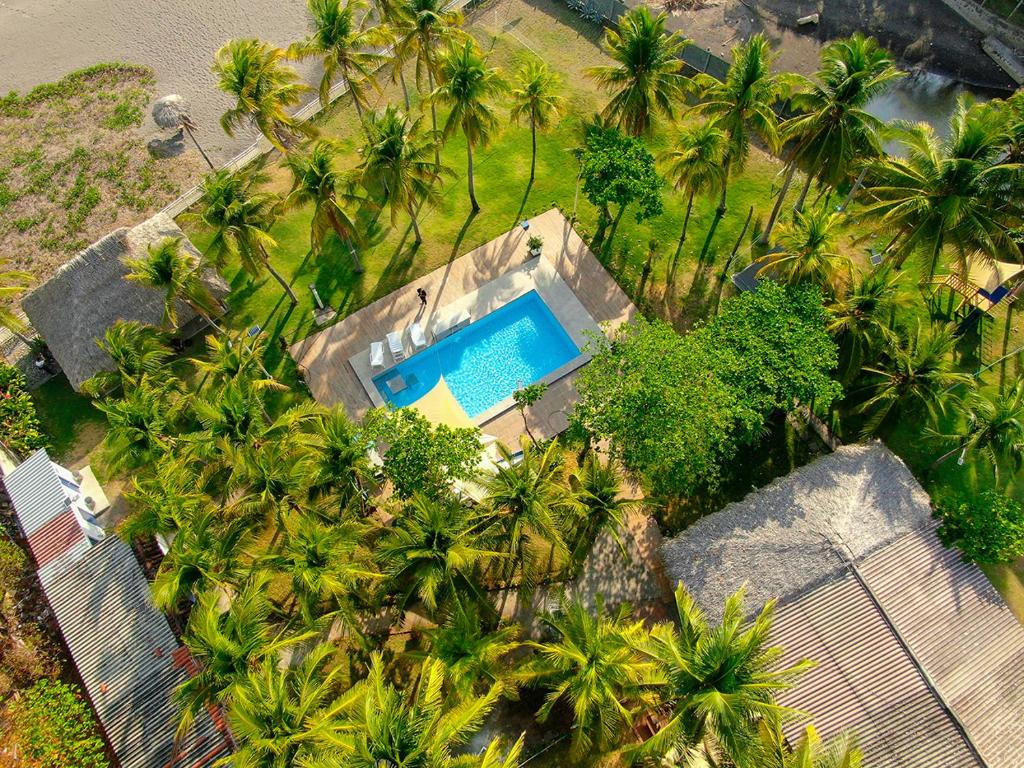una vista dall'alto di una piscina con palme di Mangomar Beach House a Teotepeque