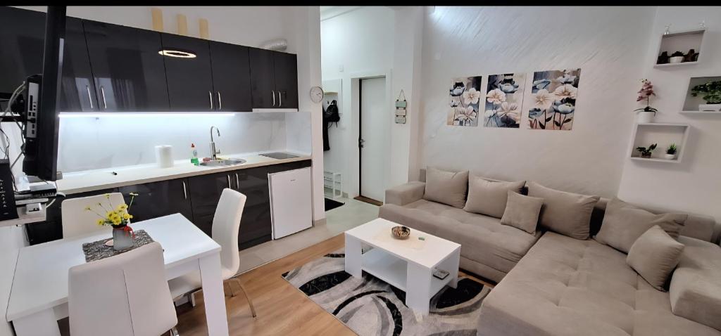 Nhà bếp/bếp nhỏ tại Apricus Apartman Vrnjačka banja