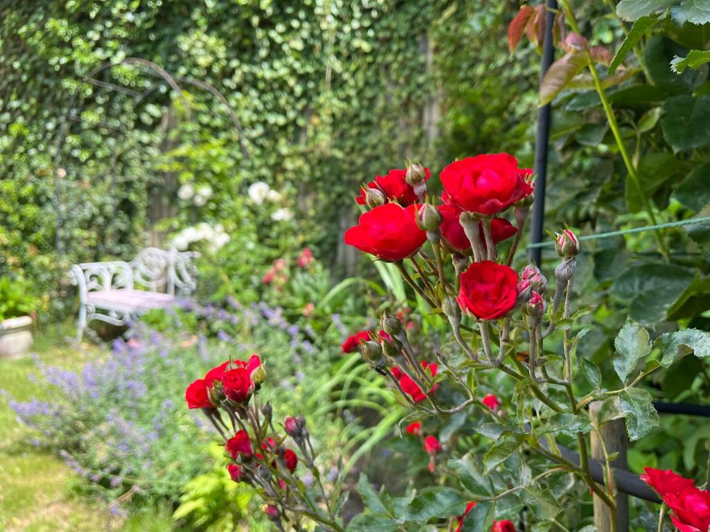 Rezydencja Grawert Boutique & Spa - 6