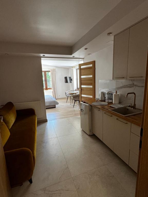 Kuchyňa alebo kuchynka v ubytovaní Apartamenty