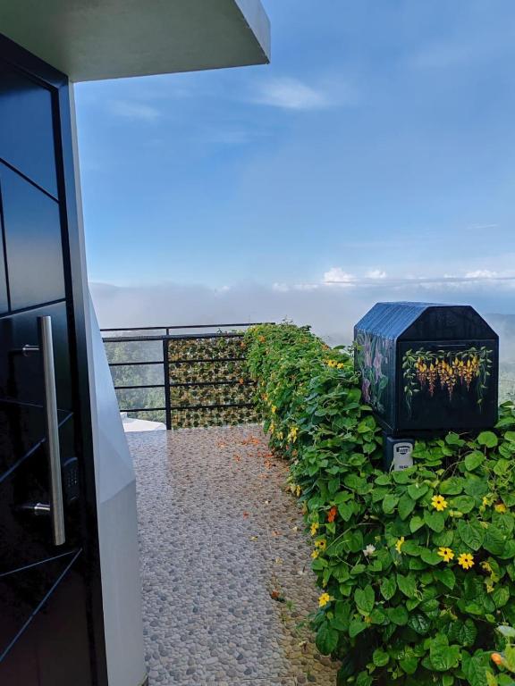 Příroda nedaleko luxury tent