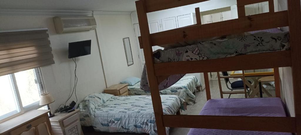 Postel nebo postele na pokoji v ubytování Hotel Teui Formarte