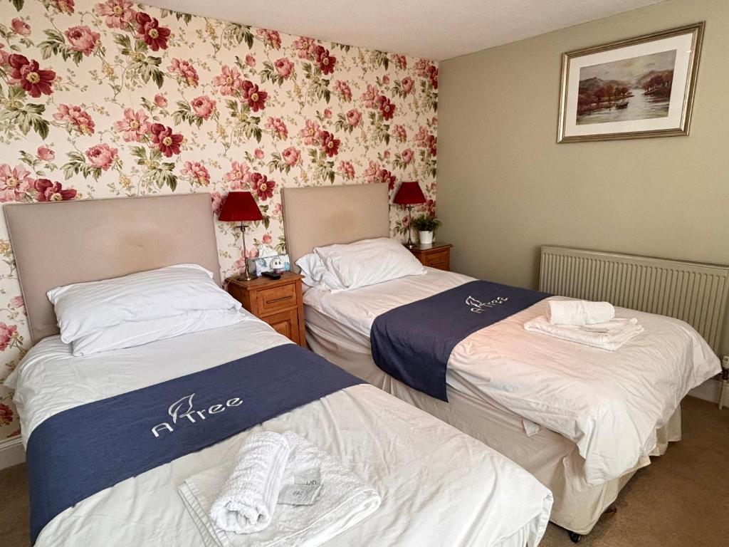 The Mayfair guest house self catering - 