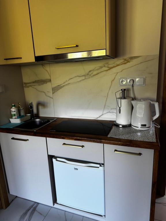 Kuchyňa alebo kuchynka v ubytovaní Apartamenty