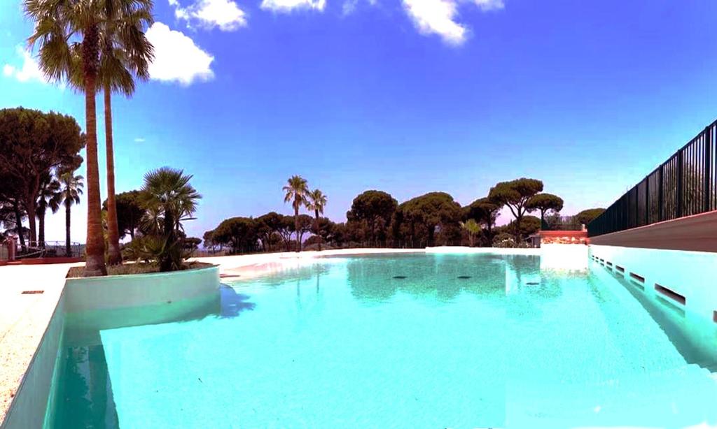 une grande piscine avec des palmiers en arrière-plan dans l'établissement Chalet Californien rénové, superbe piscine dans la résidence, central, ST Tropez 7km!, à Gassin