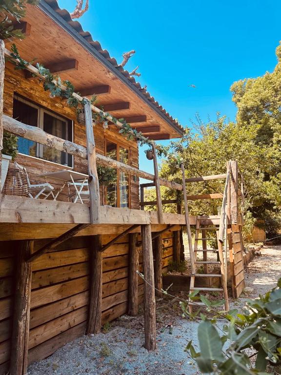 a log cabin with a porch and a ladder at Les Lodges de l'Etang in Roquebrune-sur-Argens