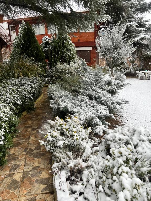 a garden covered in snow in front of a house at Ashram Asociación Argentina de Yoga in Mina Clavero