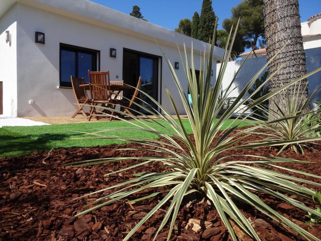 une palmeraie devant une maison dans l'établissement La VILLA SANARY Coeur de Portissol - Parking privé- Prise recharge voiture, à Sanary-sur-Mer