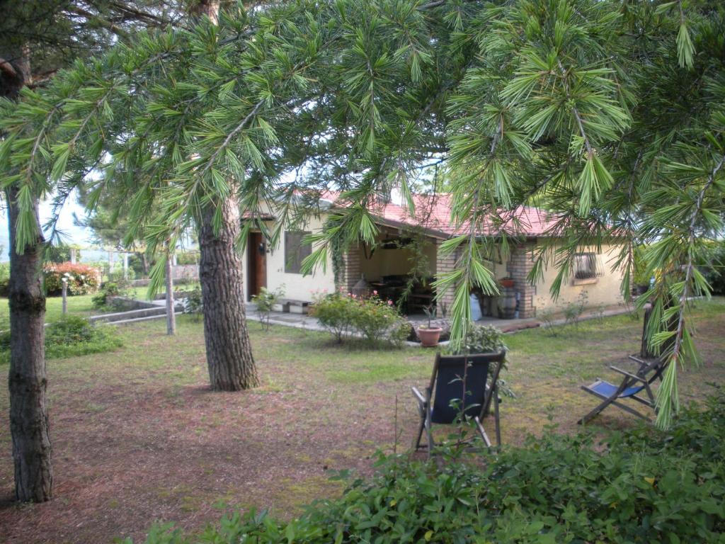 a house with a palm tree and a chair in the yard at Le Stagioni in Loreto Aprutino