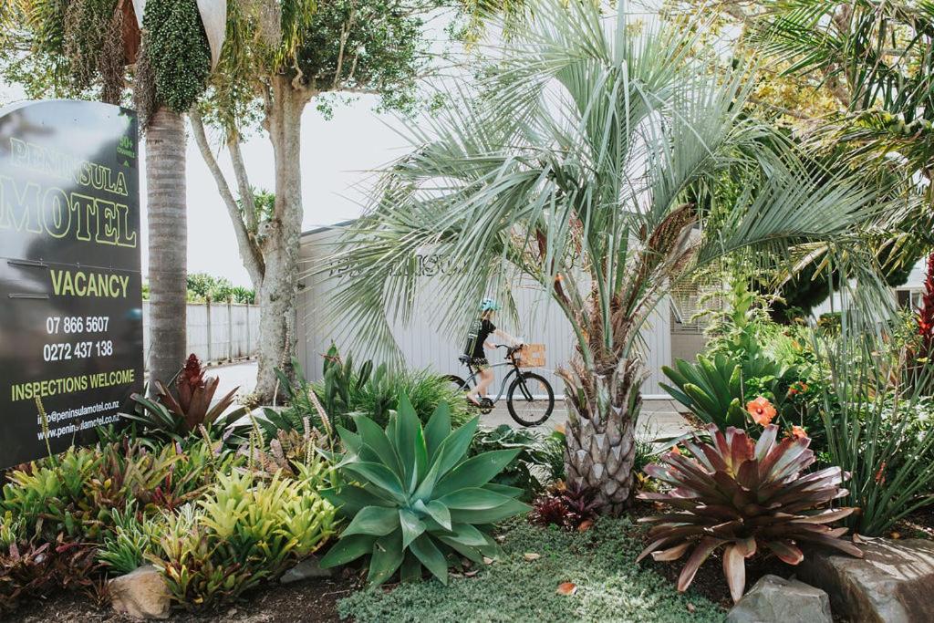 Peninsula Motel - Resim 7