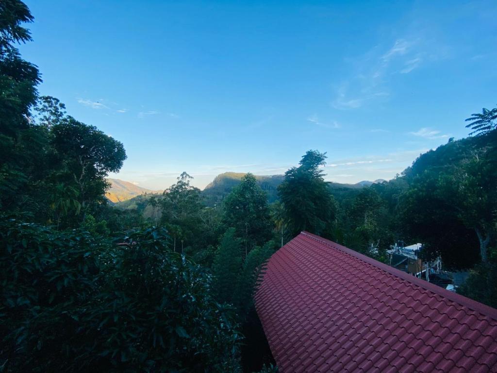 Nice View guest house & restaurant - 7