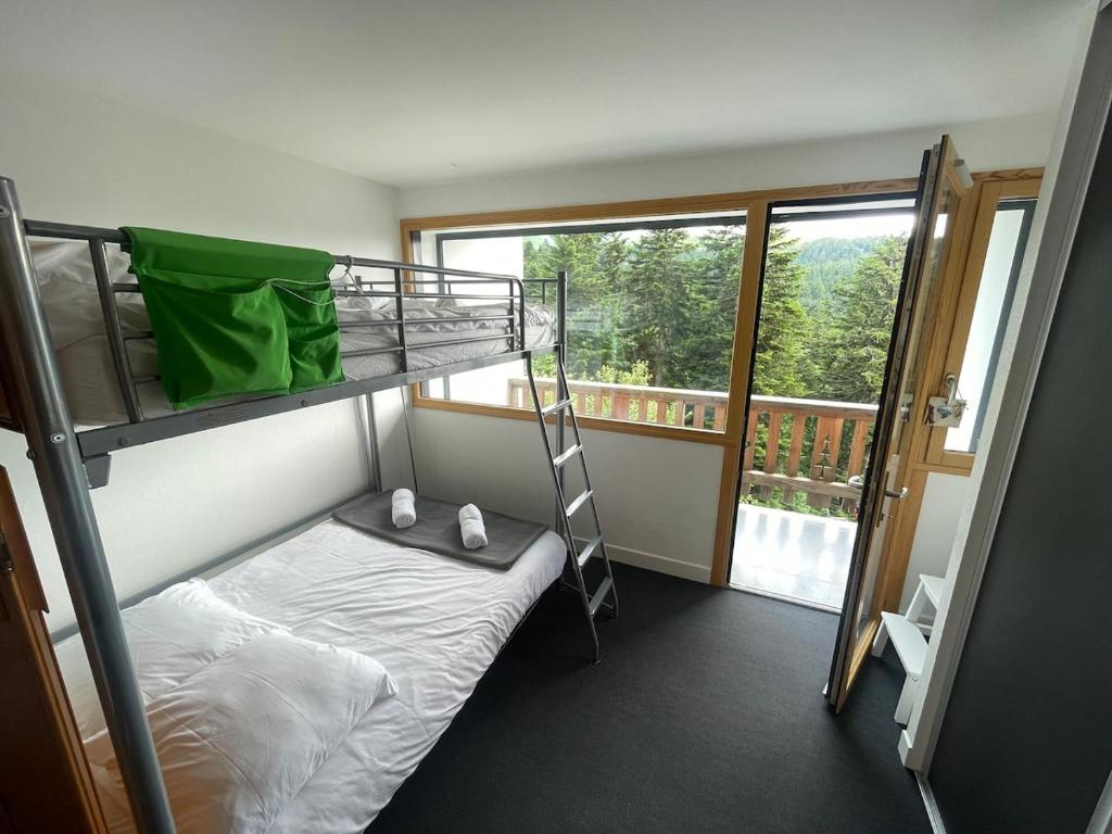 a bedroom with a bunk bed and a ladder at Superbe Appartement au pieds des pistes de ski avec parking et cassier in Laveissière