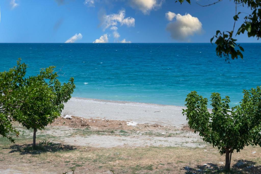a beach with two trees in front of the ocean at Duchess Eva's Seafront Guesthouse in Chorefto