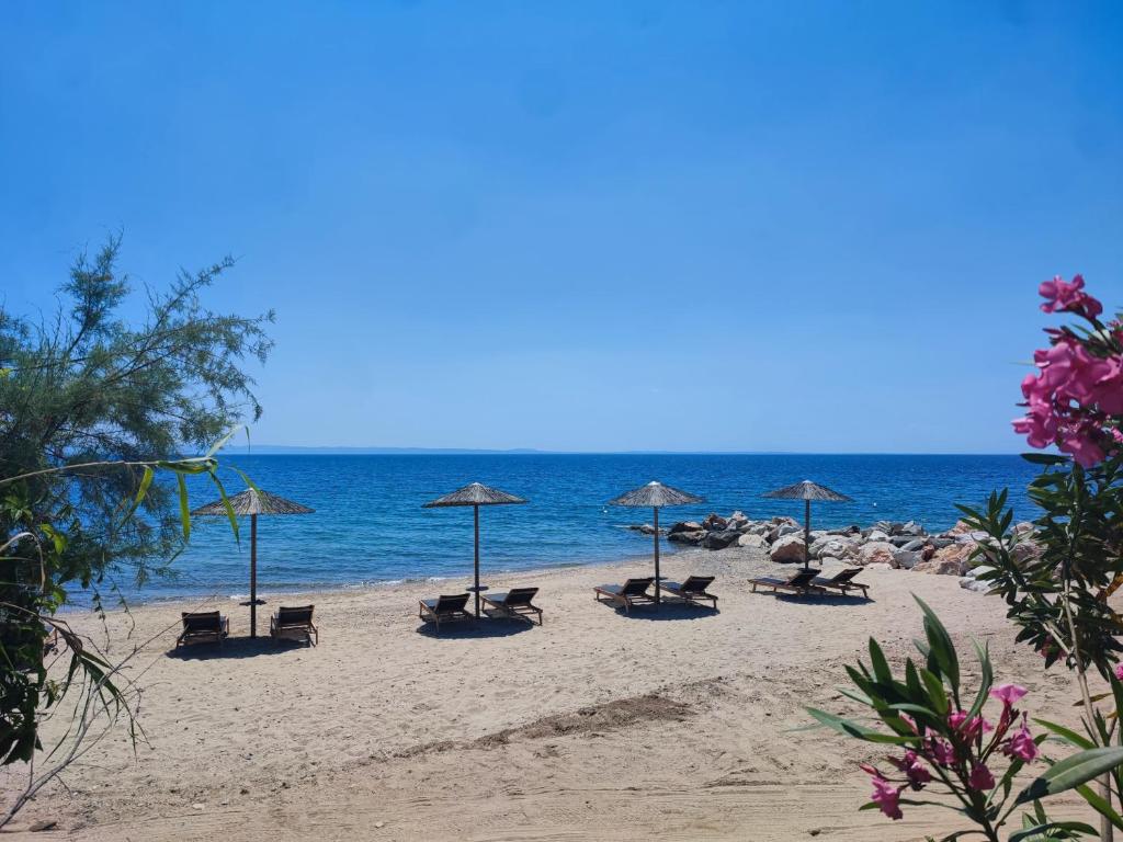Filokalia Seaside