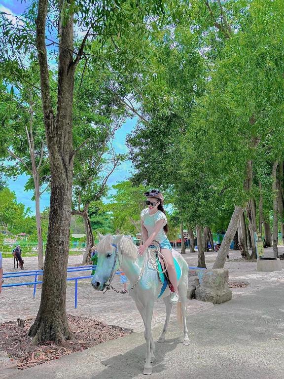 Hosté ubytování HỒ MÂY PARK Vũng Tàu Khách Sạn - Resort